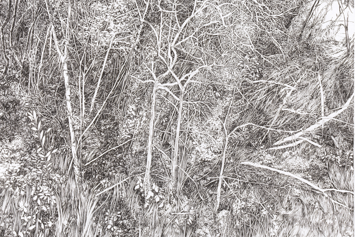 Emmanuel Henninger, Somnambulistic Forest, 2020. Encre de Chine sur papier 40 x 60 cm. Courtesy of the artist