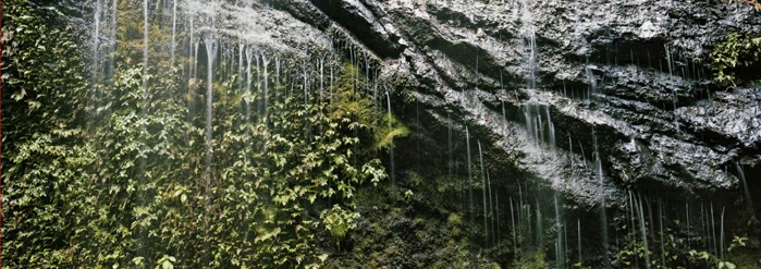 Aurore Bagarry, Cascade Couleuvre, Le Prêcheur, Martinique, photographie issue de la série De la côte, 2022-2025 © Aurore Bagarry, courtesy galerie Sit Down