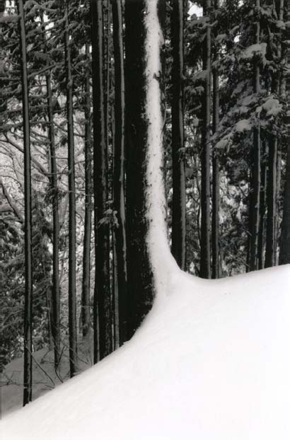 Masao Yamamoto
