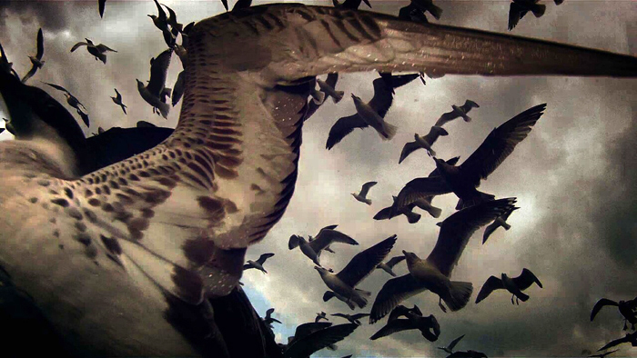  Verena Paravel & Lucien Castaing-Taylor, Leviathan, 2012. 