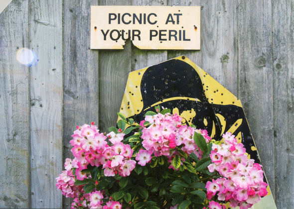 Pierre Malphettes, Picnic at your peril