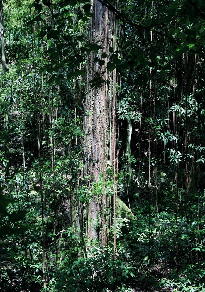 Allora & Calzadilla, Sensing