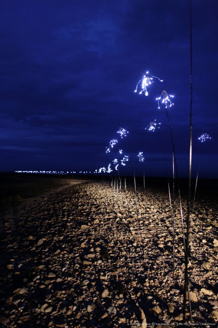 Yann Kersalé, Le sillon dans le miroir, Pleubian, Côtes d’Armor, 25 août 2011