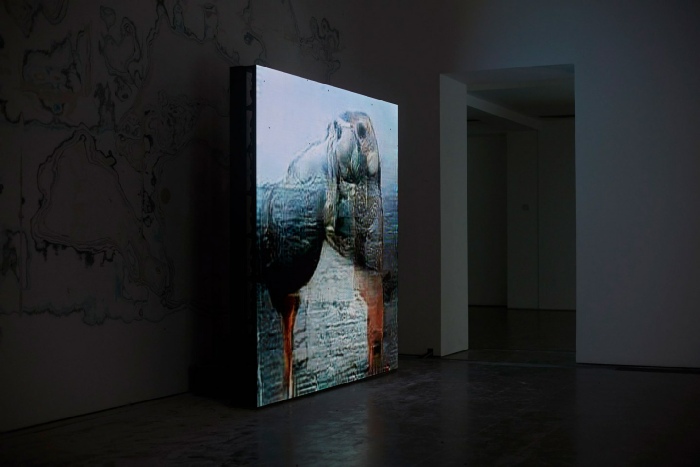 Pierre Huyghe, Uumwelt, vue de l’exposition à Serpentine Gallery, Londres