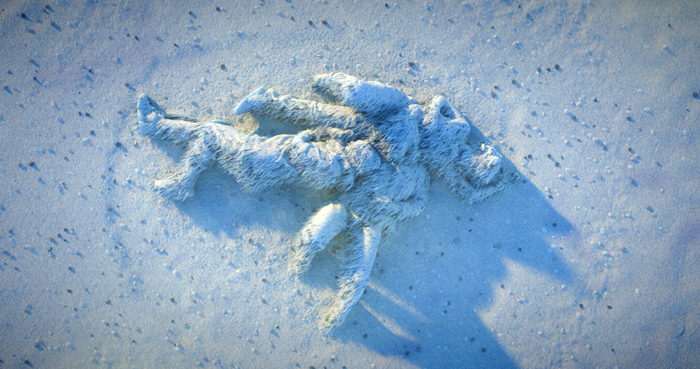 Cécile Rogosin, The Edge of Eternity, mai 2025