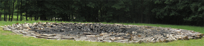 Chris Dury, Carbon Sink, installation view at Tecomah, Jouy-en-Josas, 2010. Photo Marika Prévosto