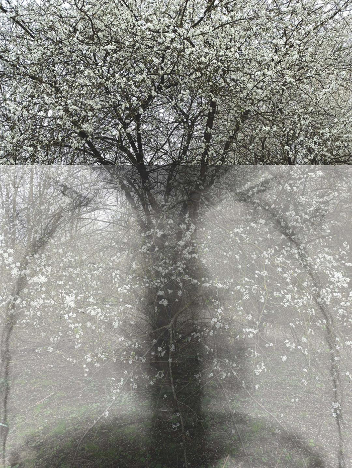 Minna Kokko, La Vie et la Mort 6, 2022, photographie, dibond, 75x50 cm