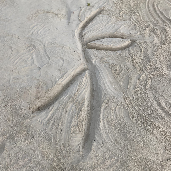 Hélène Bertin, dessin sur sable (île d’Itaparica, Bahia, Brésil), sept. – déc. 2024, 200 x 150 cm -- identité visuelle : Alias Sandi
