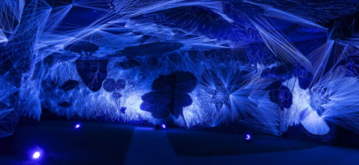 Julien Salaud, Ecologica Naturotica, installation pérenne Caves Ackerman, 2023