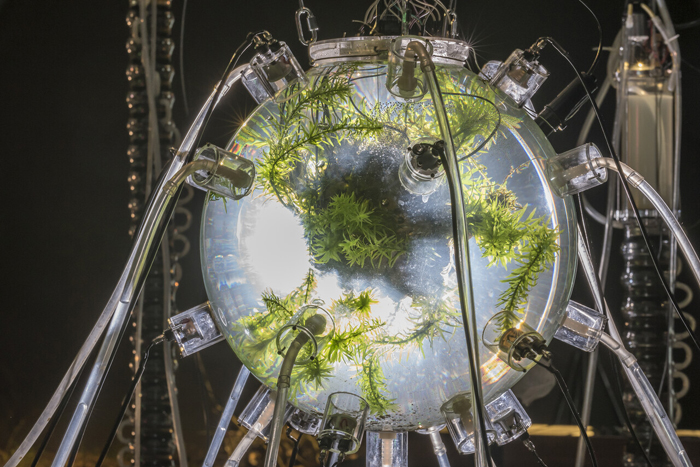 	Gilberto Esparza, Plantas autofotosinthéticas (Autophotosynthetic Plants), 2013–14. Polycarbonate, silicon, stainless steel, graphite, electronic circuits, local wastewater, natural pond water with microalgae and microorganisms, plants, shrimp, fish, sound, 157 x 157 inches overall. Installation view, Vžigalica Gallery, Ljubljana, 2016. Photo: Gilberto Esparza.	